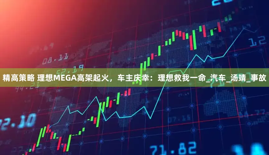 精高策略 理想MEGA高架起火，车主庆幸：理想救我一命_汽车_汤靖_事故