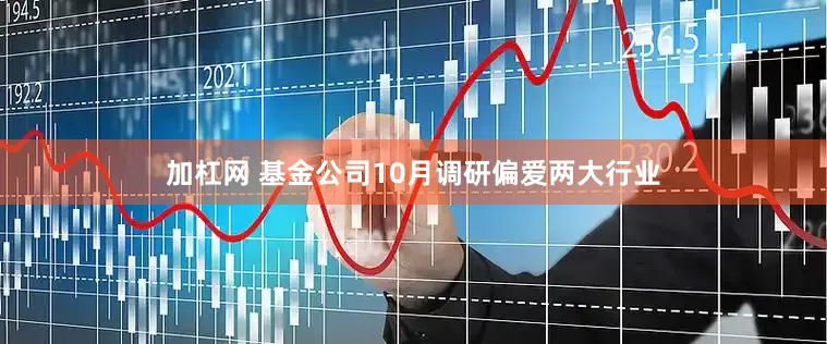 加杠网 基金公司10月调研偏爱两大行业